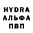 Канабис Bruce Banner Adelia Gorbunova