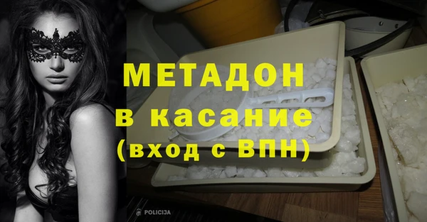 PSILOCYBIN Бородино