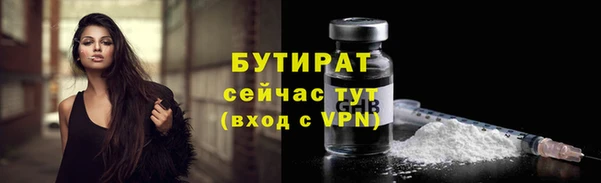 PSILOCYBIN Бородино