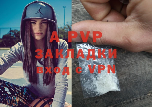 PSILOCYBIN Бородино