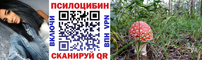 Псилоцибиновые грибы Magic Shrooms  Ува 